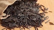 What makes Madagascar's wild rice so special 