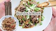 Like burdock root? These recipes are perfect for you