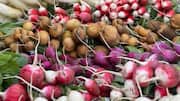 Healthy root vegetables you should add to your diet