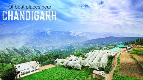 5 offbeat places near Chandigarh 5 offbeat places near Chandigarh
