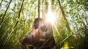 How to create the perfect nature sounds playlist for meditation