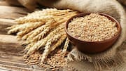 Wheat prices hit 3-year high as Russia-Ukraine war escalates
