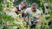 How to practice community gardening