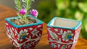 How to use hand-painted ceramic planters for home decor