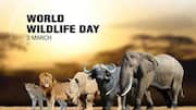 World Wildlife Day 2026: History, significance, and theme