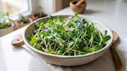 Why teff greens deserve a spot in your diet 