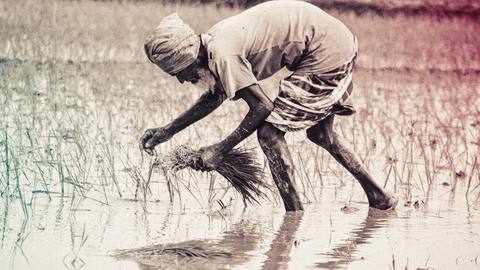 Forget global warming, farmer blames 'Indra Dev' for delayed rains Forget global warming, farmer blames 'Indra Dev' for delayed rains
