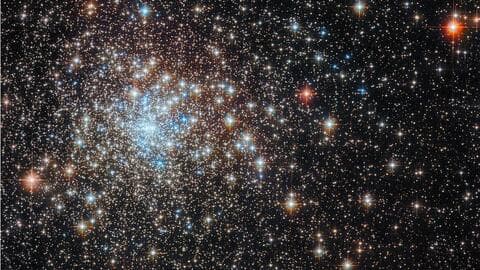 The telescope imaged a densely packed star cluster