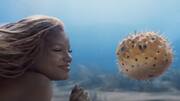 Disney's 'The Little Mermaid' trailer to be released at Oscars Disney's 'The Little Mermaid' trailer to be released at Oscars
