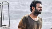 Has Prabhas put 'Salaar 2' on hold? Here's the truth 