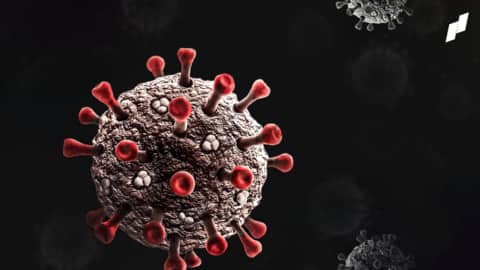 Delta variant has now been reported in 85 countries: WHO Delta variant has now been reported in 85 countries: WHO