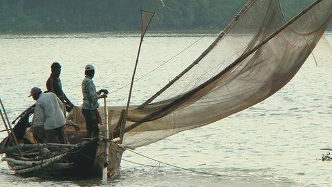 Bengal fishermen net year's first Hilsa haul Bengal fishermen net year's first Hilsa haul