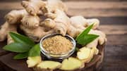 What makes ginger root extract so powerful