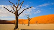 How to explore the Namib Desert on camelback