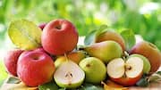 Apples v/s pears: Which has more fiber?