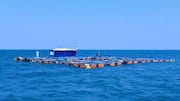 China's uranium-extraction method from seawater is 8x stronger than US