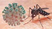 Karnataka reports first Zika virus case, 5-year-old girl tests positive