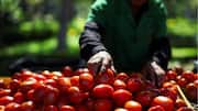 Trump imposes 17% tariff on Mexican tomatoes amid failed negotiations