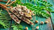 Why you must add moringa to your diet