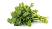 Surprising health benefits of cilantro