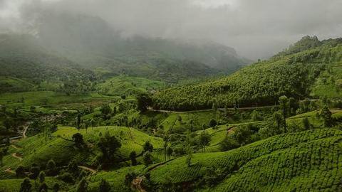 Your guide to traveling to Munnar Your guide to traveling to Munnar