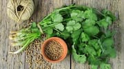5 reasons to start eating coriander daily 