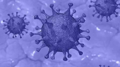 Over 7K coronavirus mutants are in circulation in India: Report Over 7K coronavirus mutants are in circulation in India: Report