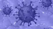 Over 7K coronavirus mutants are in circulation in India: Report