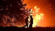 Spain: 12 dead, 6 injured in wildfires