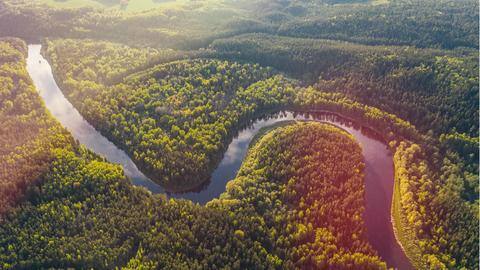 Brazilian Amazon lost 18 trees per second in 2021: Study Brazilian Amazon lost 18 trees per second in 2021: Study