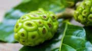 Why you should know about noni fruit