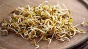 How to grow nutritious fenugreek sprouts at home 