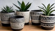 Sgraffito: An ancient art for modern home decor 