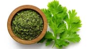 How coriander is used in traditional dishes