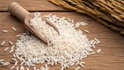 Basmati rice v/s jasmine rice: Comparing their nutrition