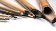 Love sketching? These natural pens will change your art 