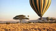 Wildlife lovers, a balloon safari is a must-try 