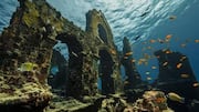 Snorkeling enthusiasts, this underwater wonder in Naples awaits 