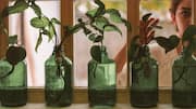 How to upcycle old bottles into garden decor