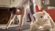 Roomba creator unveils AI robot designed for companionship