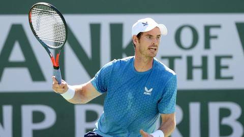 Andy Murray to skip Davis Cup after losing to Zverev Andy Murray to skip Davis Cup after losing to Zverev