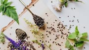 Anise hyssop: Grow this sweet-smelling herb at home