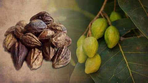 5 health benefits of haritaki, an ancient Ayurvedic herb 5 health benefits of haritaki, an ancient Ayurvedic herb