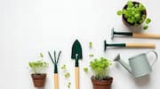 How to save on gardening tools