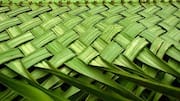 How modern artists are redefining palm leaf weaving