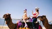 Experience Rajasthan like a local on a camel ride