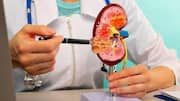 US approves first human trials for pig kidney transplants