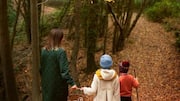 Why experts think nature walks can improve kids' observation skills