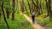 How spending time in nature can boost your well-being