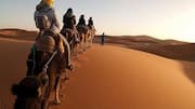 How to explore the Namib Desert on camelback 